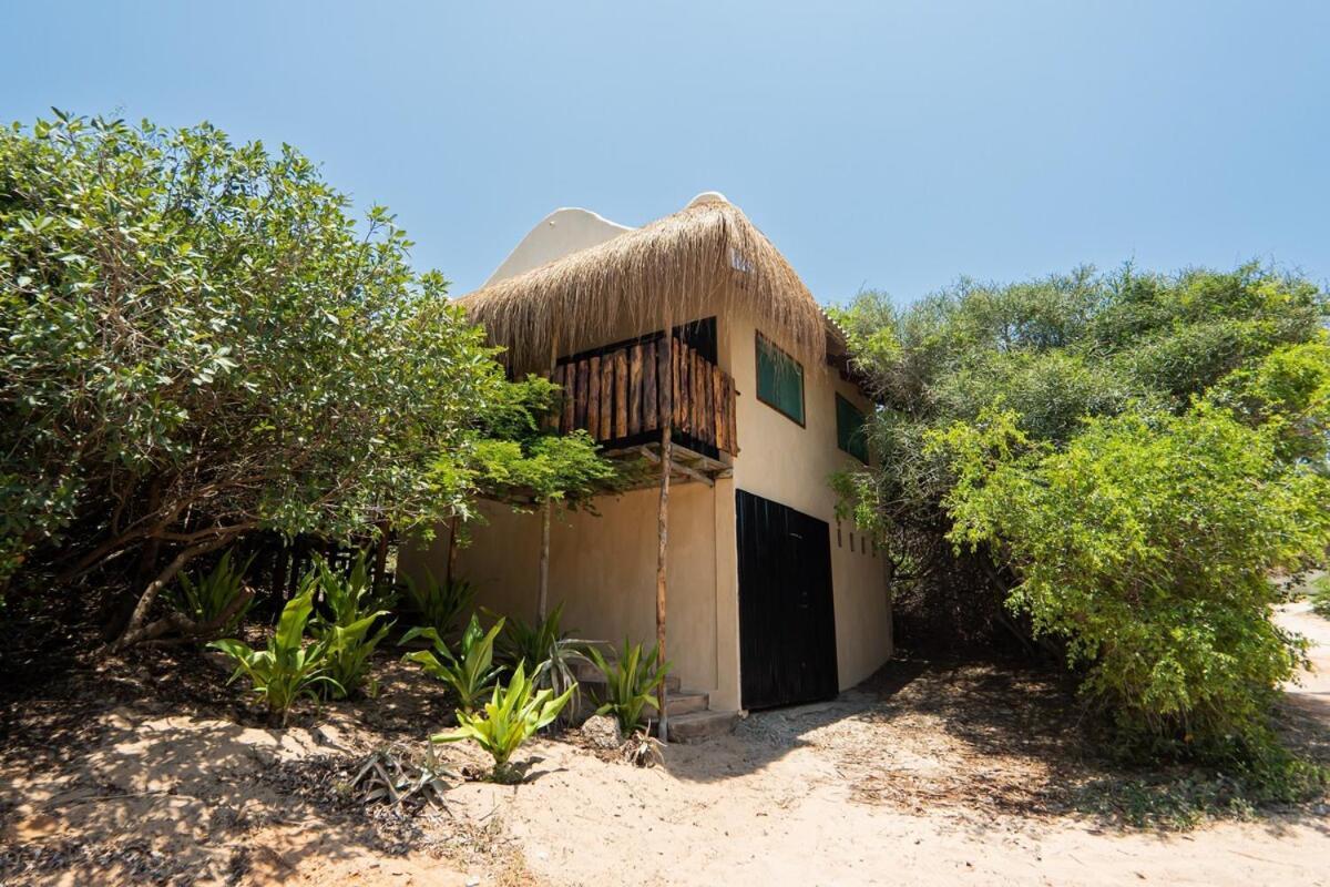 Tree House Cottage, Garden Views, Hot Water Praia do Praia do Tofo Exterior foto